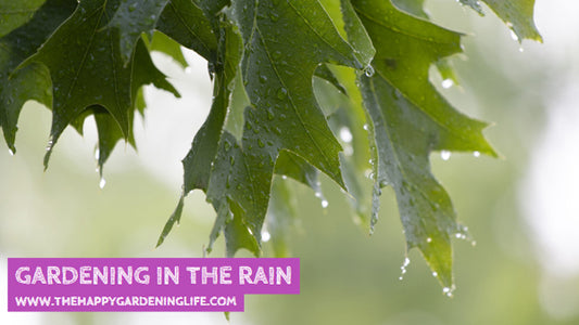 Gardening In The Rain
