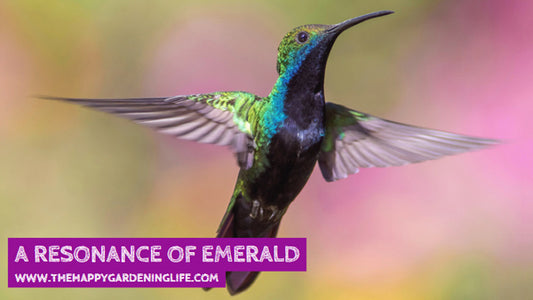 A Resonance Of Emerald