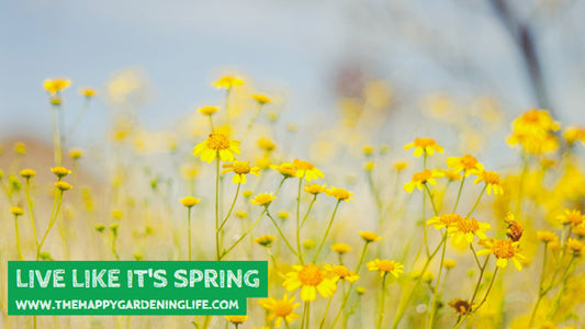 Live Like It's Spring