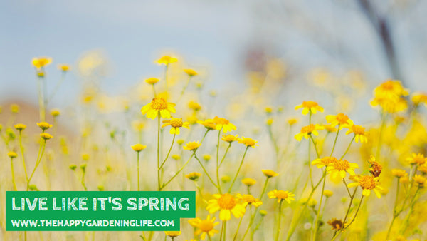 Live Like It's Spring
