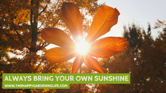 Always Bring Your Own Sunshine