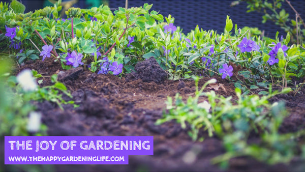 The Joy Of Gardening