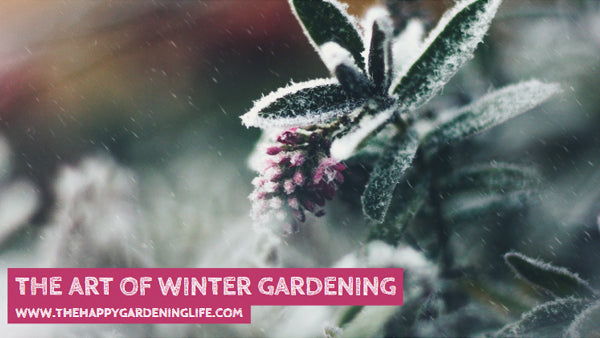 The Art Of Winter Gardening