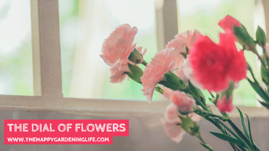 The Dial Of Flowers