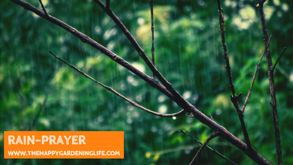 Rain-Prayer