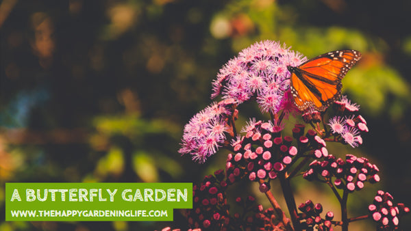 A Butterfly Garden