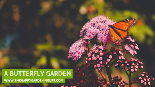 A Butterfly Garden