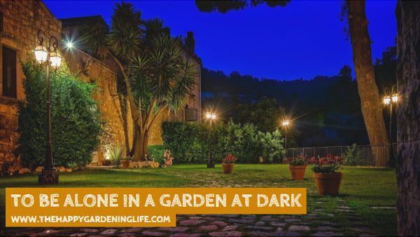 To Be Alone In A Garden At Dark
