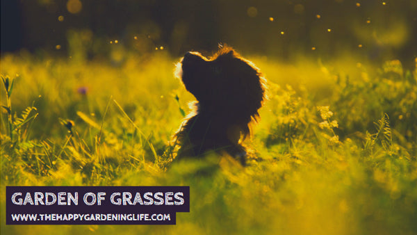 Garden Of Grasses