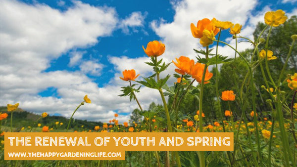 The Renewal Of Youth And Spring