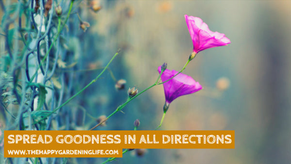 Spread Goodness In All Directions