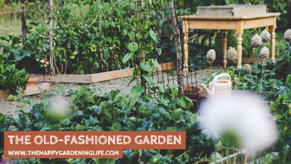 The Old-Fashioned Garden