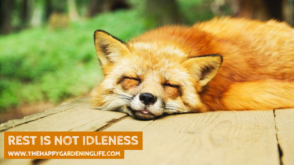 Rest Is Not Idleness