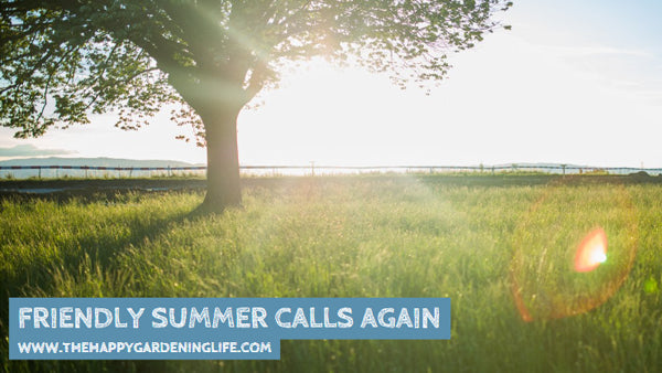 Friendly Summer Calls Again