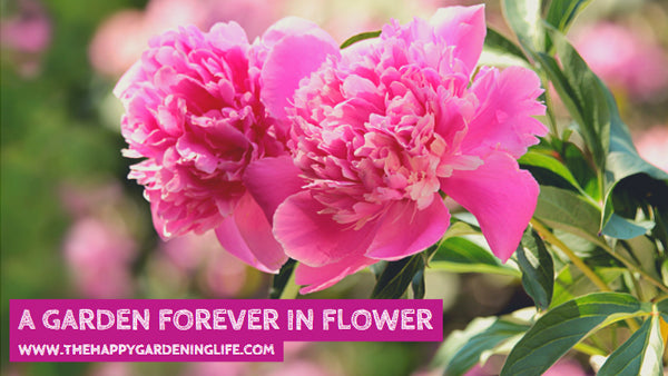 A Garden Forever In Flower