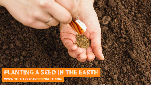 Planting A Seed In The Earth
