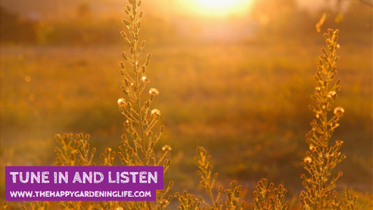 Tune In And Listen