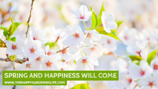 Spring And Happiness Will Come