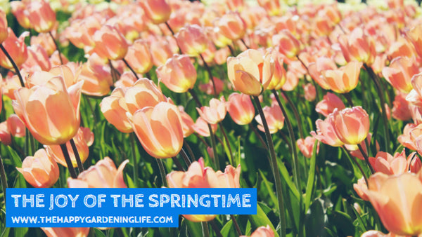 Spring Time Joy The Joy Of The Springtime – The Happy Gardening Life