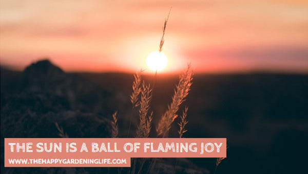 The Sun Is A Ball Of Flaming Joy