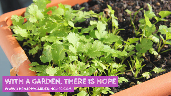 With A Garden, There Is Hope
