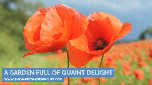 A Garden Full Of Quaint Delight