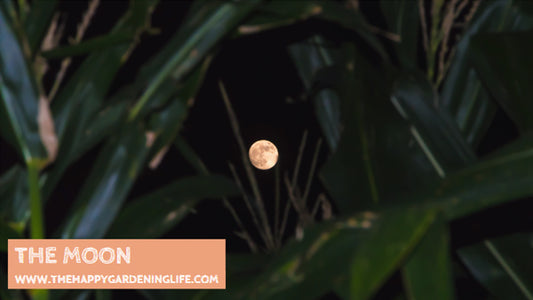 The Moon