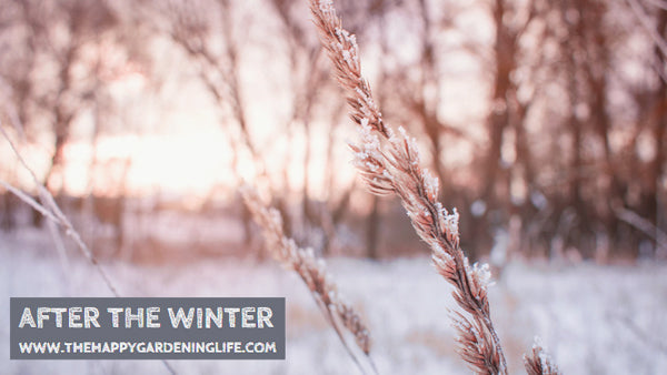 After The Winter