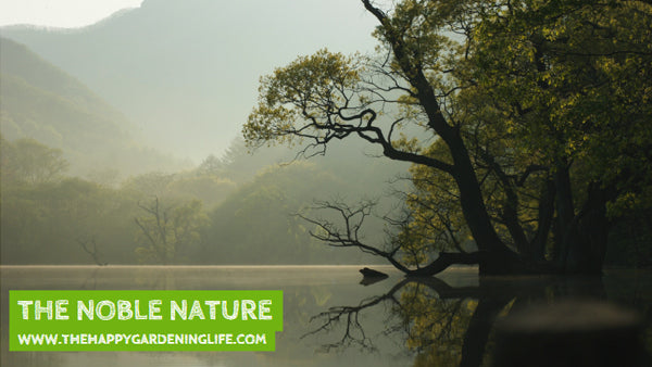 The Noble Nature