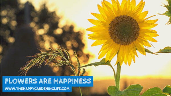 Flowers Are Happiness