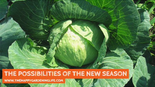 The Possibilities Of The New Season