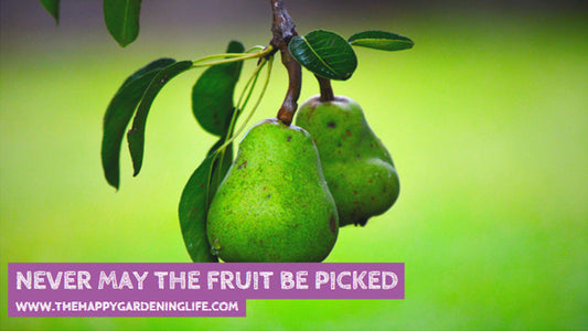 Never May The Fruit Be Picked