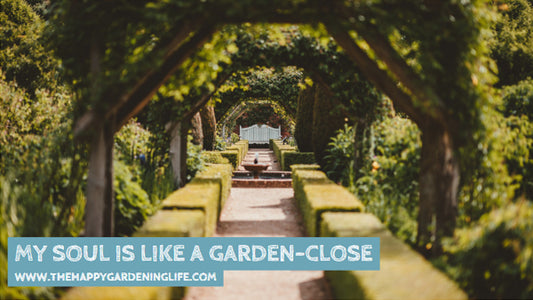My Soul Is Like A Garden-Close