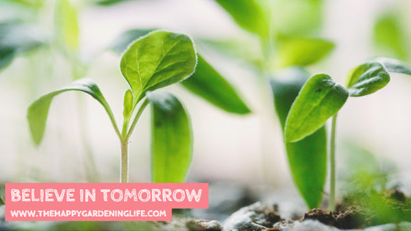 Believe In Tomorrow