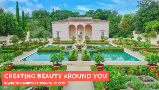 Creating Beauty Around You