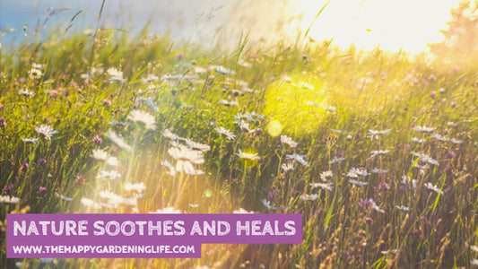 Nature Soothes And Heals