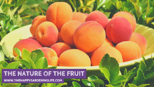 The Nature Of The Fruit