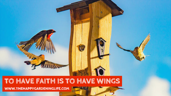 To Have Faith Is To Have Wings