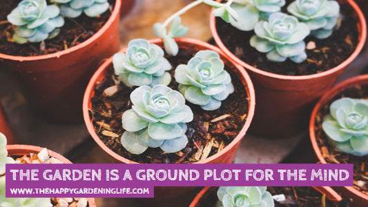 The Garden Is A Ground Plot For The Mind