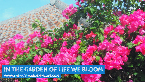 In The Garden Of Life We Bloom