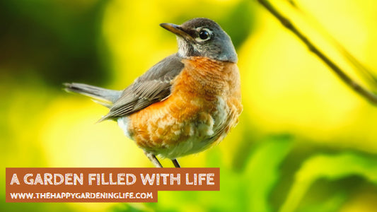 A Garden Filled With Life