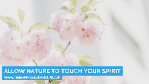 Allow Nature To Touch Your Spirit