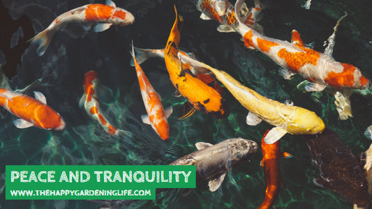 Peace And Tranquility