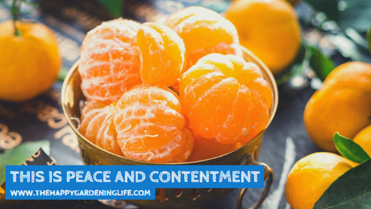This Is Peace And Contentment