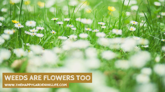 Weeds Are Flowers Too