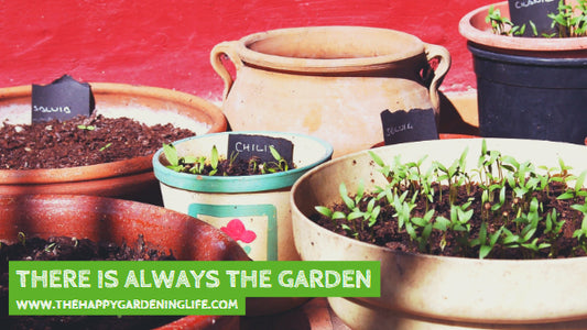 There Is Always The Garden