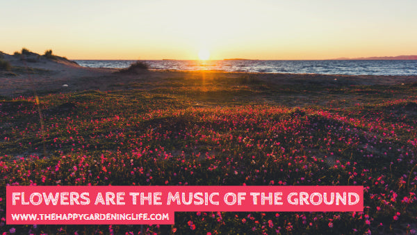 Flowers Are The Music Of The Ground