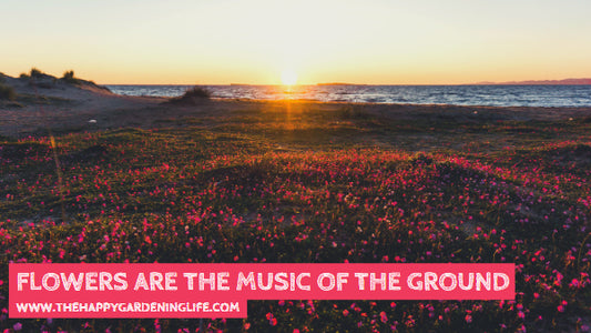 Flowers Are The Music Of The Ground