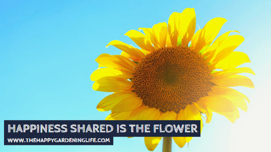 Happiness Shared Is The Flower