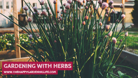 Gardening With Herbs